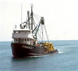 seguro casco maritimo